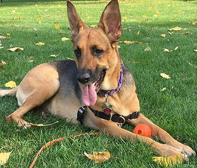 Neema Back To Walking, Training, & Playing